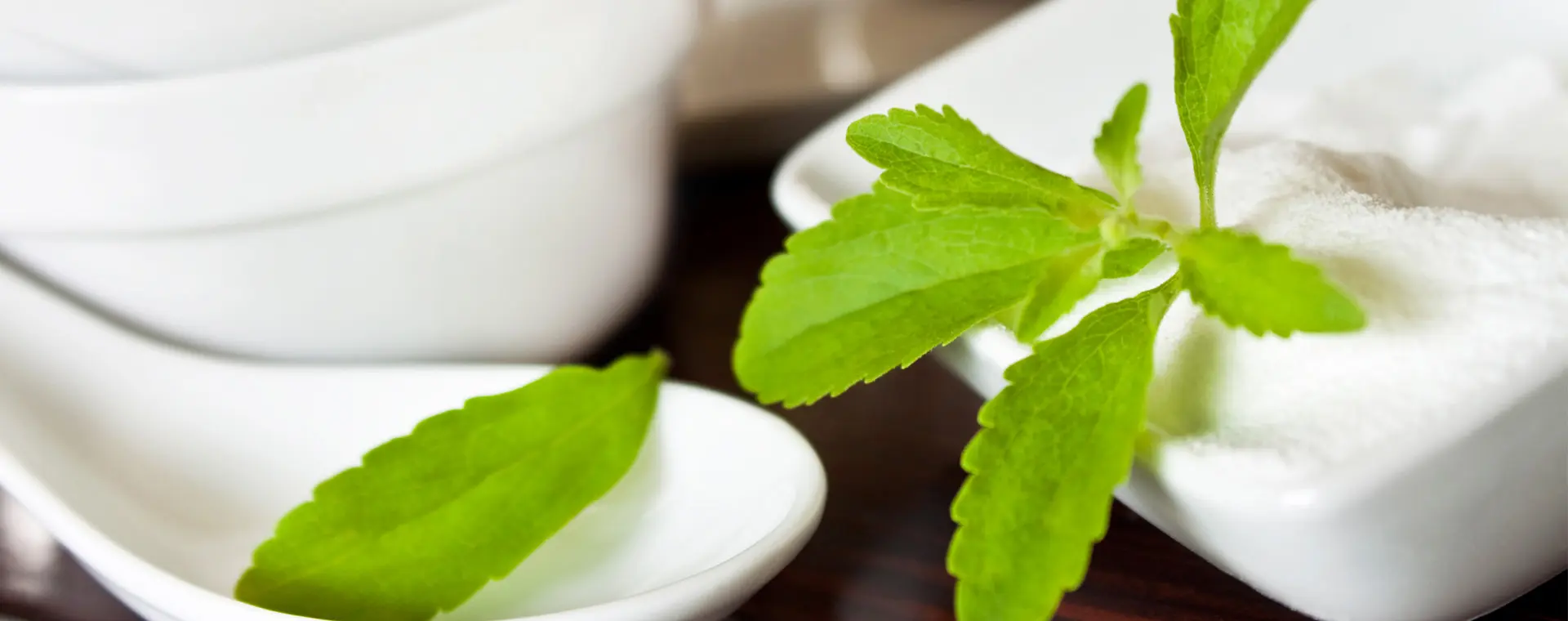 Provides Extensive Sugar Reduction Solutions