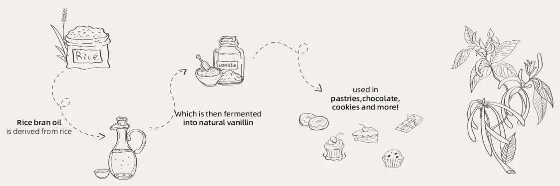 INGIA uses advanced and natural biotransformation technology to produce vanillin. 