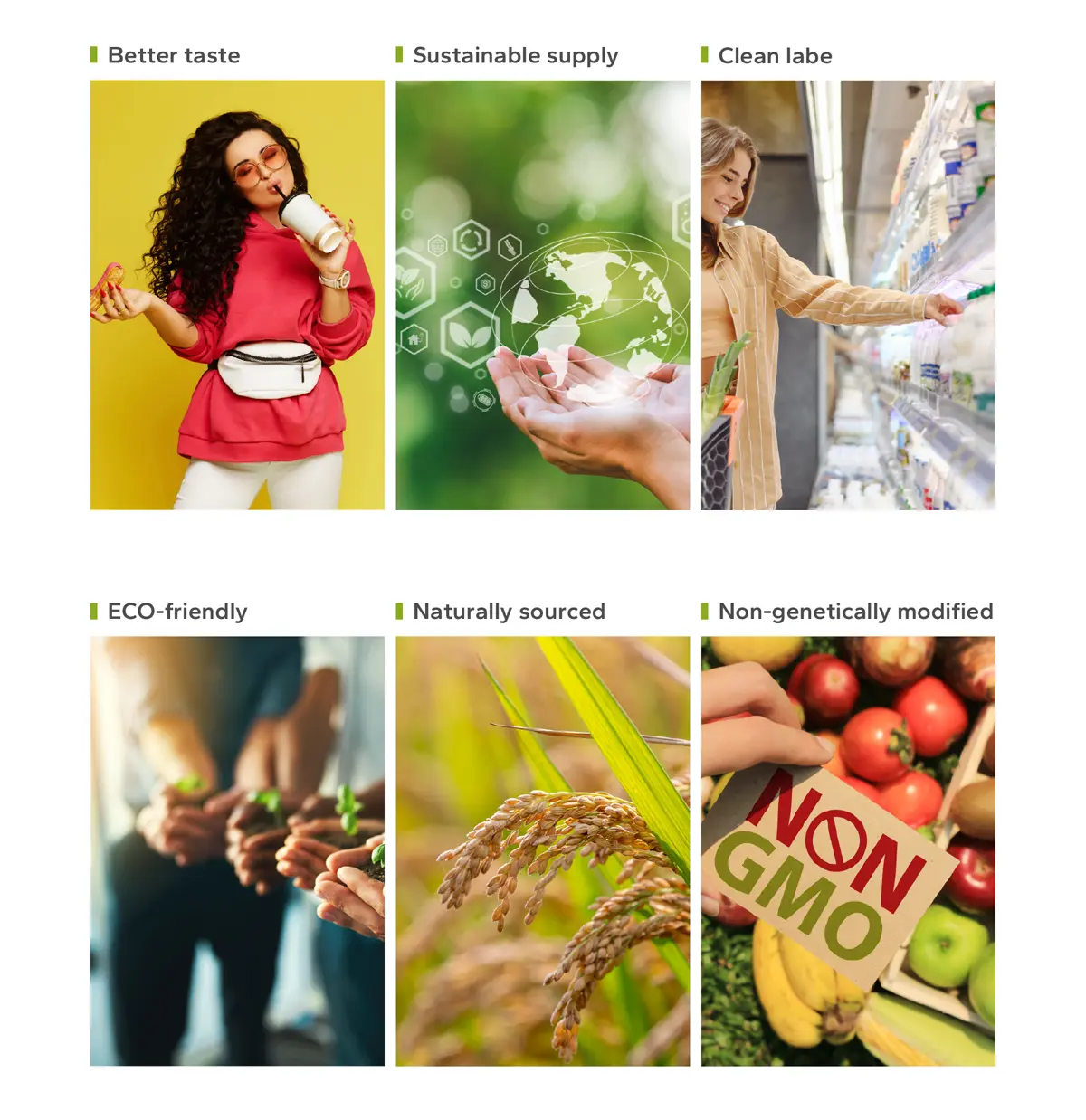 the Advantages of Vanillin for Sale at INGIA