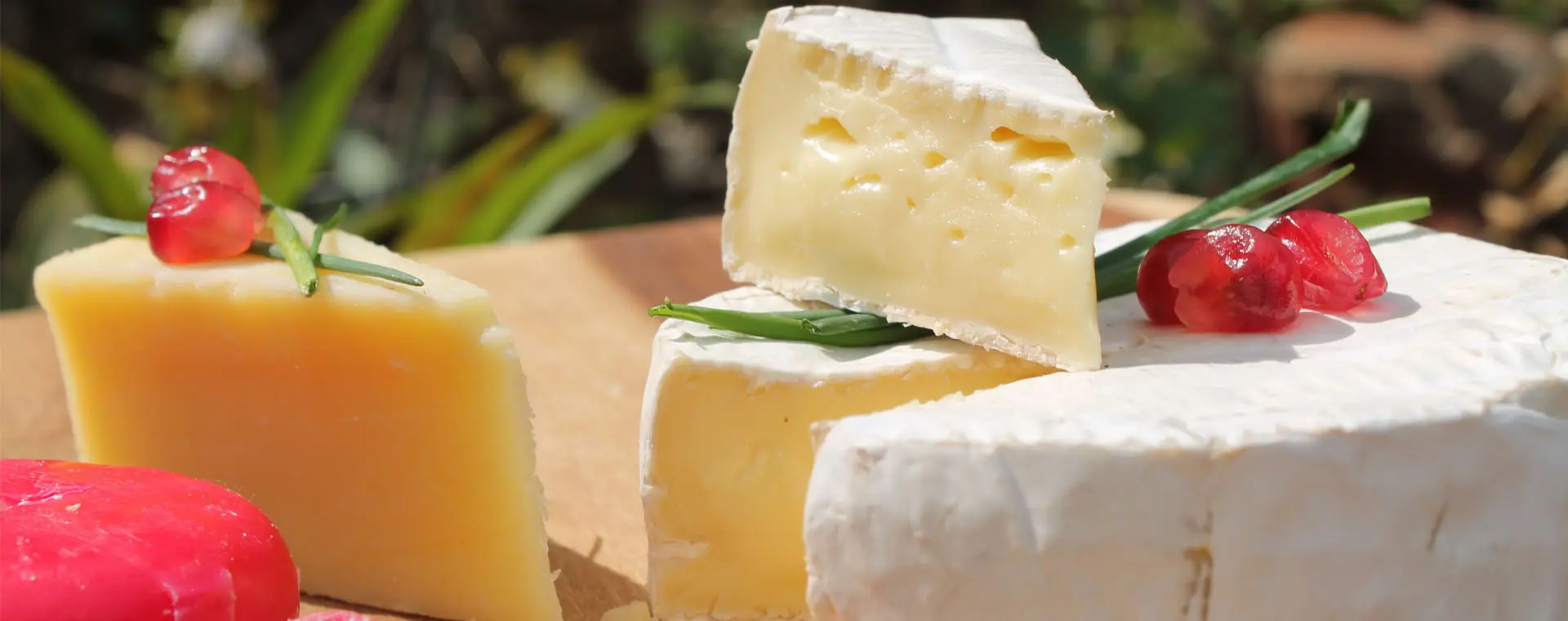 INGIA Natural Sweeteners for Cheese