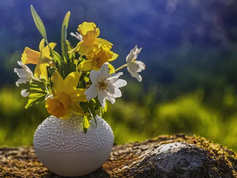 Iso Propylphenyl Butanal