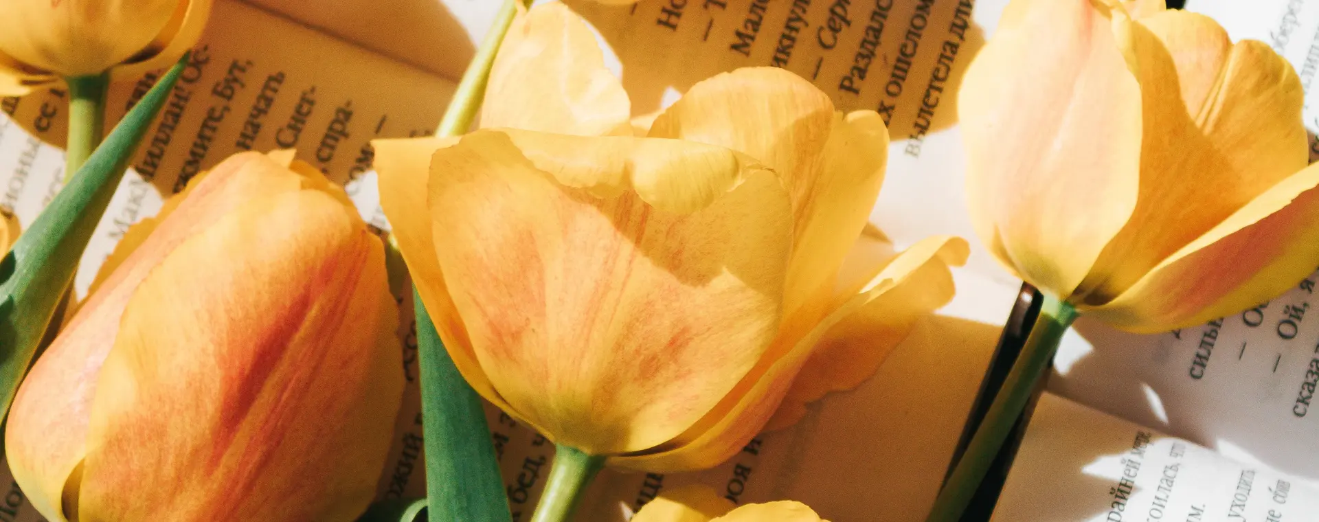 Iso Propylphenyl Butanal